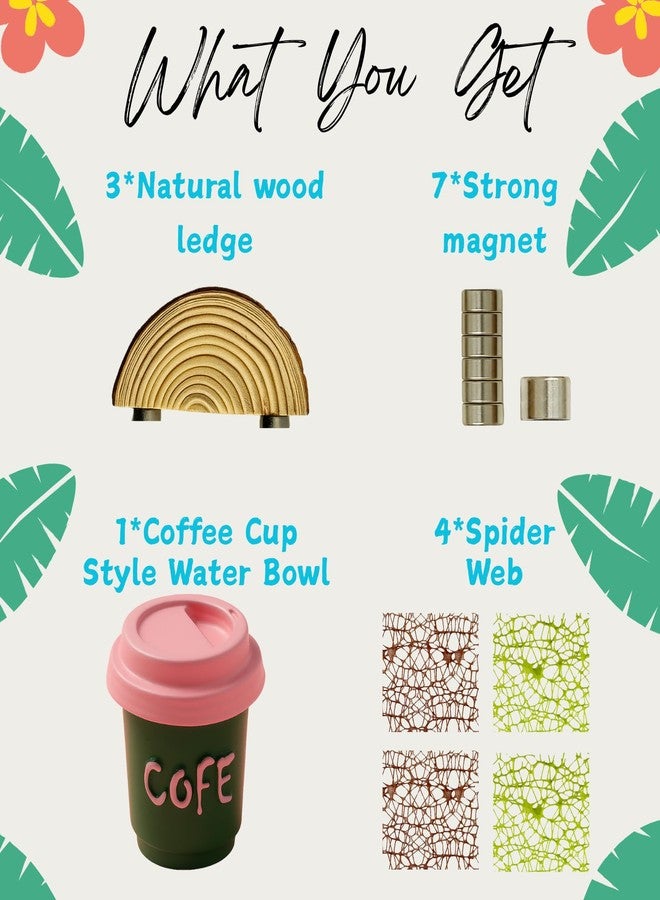ZREVSB Jumping Spider Enclosure Accessories Kit, Habitat Decor - Wood Ledge, Water Dish & Climbing Web (with Green Water Dish) - Image 5